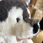 ユーザー画像