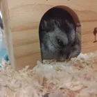 ユーザー画像