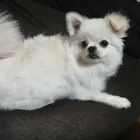 ユーザー画像
