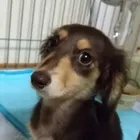 ユーザー画像