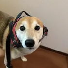 ユーザー画像