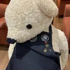 ユーザー画像
