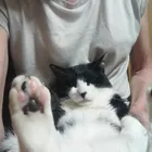 ユーザー画像