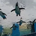 ユーザー画像