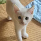 ユーザー画像