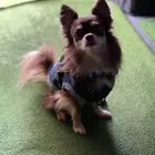 ユーザー画像