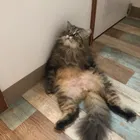 ユーザー画像