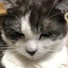 ユーザー画像