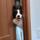 ユーザー画像