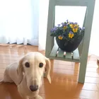 ユーザー画像