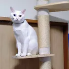 ユーザー画像