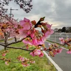 ユーザー画像