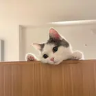 ユーザー画像