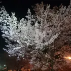 ユーザー画像