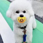 ユーザー画像