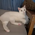 ユーザー画像