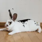 ユーザー画像