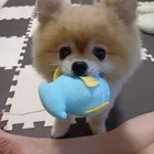 ユーザー画像