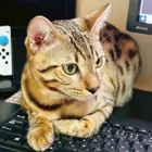 ユーザー画像