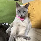 ユーザー画像