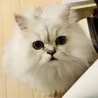 ユーザー画像