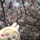ユーザー画像