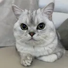 ユーザー画像