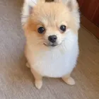 ユーザー画像