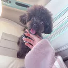 ユーザー画像