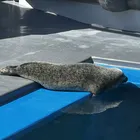 ユーザー画像