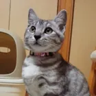 ユーザー画像
