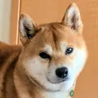 ユーザー画像