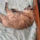 ユーザー画像