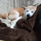 ユーザー画像