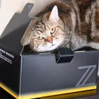 ユーザー画像