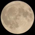 ユーザー画像