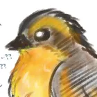 ユーザー画像