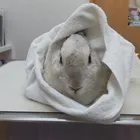 ユーザー画像