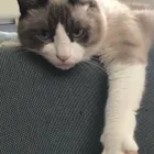 ユーザー画像