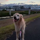 ユーザー画像
