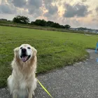 ユーザー画像