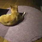 ユーザー画像