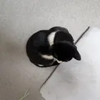 ユーザー画像