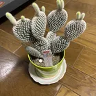 ユーザー画像