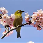 ユーザー画像