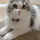 ユーザー画像