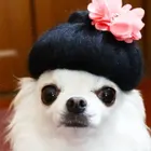 ユーザー画像