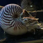 ユーザー画像