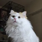 ユーザー画像