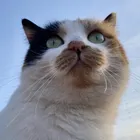 ユーザー画像
